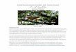 SUMATRA (GUNUNG KERINCI AND TAPAN ROAD) - Mammal Sumatra 2016.pdf  SUMATRA (GUNUNG KERINCI AND TAPAN
