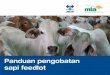 Panduan pengobatan sapi feedlot - livecorp.com.au · Obat-obatan dan dosis obat 24 ... Bengkak yang bukan akibat infeksi biasanya disebabkan ... (dosis dibagi untuk beberapa tempat