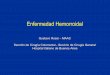 Enfermedad Hemorroidal · DF Dolor Agudo Fisura - Absceso Fístula - Hemorroide Ext T Dolor Crónico Fisura - Absceso Fístula - Hemorroide T Estenosis anal - Enf. Crohn