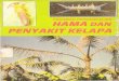  · 2011-05-19 · Penuntun identifikasi hama dan penyakit tanaman kelapa KELAPA 4 6. Sexava Belalang lainnya ... yang berasal dari bunga (tumbuhan liar) ... sehingga kcrusakarl yang