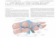 7 TRAUMA AND THERMAL INJURY 7 INJURIES TO THE LIVER ... · 7 INJURIES TO THE LIVER, BILIARY TRACT, SPLEEN, AND DIAPHRAGM Injuries to the Liver ASSESSMENT The initial step in the management