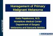 Management of Primary Malignant Melanoma · Management of Primary Malignant Melanoma . Katia Papalezova, M.D. Montefiore Medical Center . Department of Surgery . Melanoma and Sarcoma