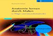 Anatomie lernen durch Malen - · PDF fileNervus medianus Nervus ulnaris Nervus radialis Nervus ischiadicus Armgeflecht Ansicht auf die Hirnbasis mit Hirnnerven Lenden-Kreuzbein- 