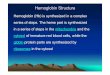 Hemoglobin Structure - Assiut University · Hemoglobin Structure Hemoglobin (Hb) is synthesized in a complex series of steps. The heme part is synthesized in a series of steps in