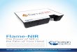 Flame NIR Product Sheet - (주)원우시스템즈 - 분광기,적외선온도계 ... · 2018-01-18 · The Flame-NIR spectrometer from Ocean Optics harnesses the power of near infrared