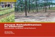 Forest Rehabilitation in Vietnam · Design and layout by Vidya Fitrian and Catur Wahyu National Library of Indonesia Cataloging-in-Publication Data Forest rehabilitation in Vietnam: