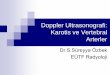 Doppler Ultrasonografi: Karotis ve Vertebral Arterler · 2014-09-16 · Hemodinamik değerlendirme Sınırlamalar •Kalsifiye plaklar •Aritmi •Kısa boyun •Yüksek CCA bifurkasyonu