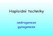 androgeneze gynogeneze - is.muni.cz · Význam haploidních rostlin • detekce recesivních alel (v haploidním stavu nejsou překryty dominantní alelou) • zdvojený haploid poskytuje
