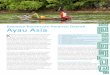 Kawasan Konservasi Perairan Daerah Ayau Asiabirdsheadseascape.com/download/fact-sheets/2015 Factsheet KKLD Ayau... · hidupnya pada hasil laut, yaitu kerapu, napoleon dan ikan karang