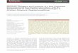 ORIGINAL ARTICLE Molecular Phylogeny and Taxonomy of a …scxy.ouc.edu.cn/_upload/article/files/60/52/... · (Protista, Ciliophora, Oligohymenophorea) Xuming Pana, Zihan Shia, Chundi