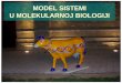 MODEL SISTEMI U MOLEKULARNOJ BIOLOGIJI · Model sistemi • Živi organizmi nad kojima se vrše eksperimenti • Razne prirodne nauke razni model sistemi ... • Genom je molekul