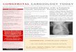 Congenital Cardiology Today · pericardial effusion with no evidence of cardiac tamponade. The effusion was mainly located posteriorly, and was slightly larger compared to the previous