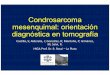 Condrosarcoma mesenquimal: orientación diagnóstica en ... · Condrosarcoma mesenquimal: orientación diagnóstica en tomografía Castilla, S; Alderete, J; González, R; Montaña,