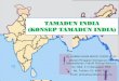 TAMADUN INDIA (KONSEP TAMADUN INDIA) - 9 TI (Konsep Tamadun India).pdf · PDF filePENGENALAN Tamadun India berpusat di lembah Sungai Indus Tamadun India dianggap tertua dalam tamadun
