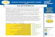 SLOVENIA - gaps and action required SLOVENIA has done a good job of addressing safety issues for children and adolescents on the road including pedestrian, passenger/driver safety,