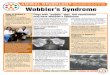 volume three • issue one wobbler’s syndrome Wobbler’s Syndrome · Wobbler’s Syndrome is commonly seen in large breeds including Great Dane, Doberman Pincher, Bull Mastiff,