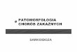PATOMORFOLOGIA CHORÓB ZAKAŹNYCHpatomorfologia-cmuj.pl/sites/default/files/III WL Choroby zakaźne.pdf · Próba bł ędnie ujemna – infekcje wirusowe, ziarnica, sarkoidoza, niedo