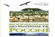 Biodiversidade no Pantanal de Poconé - cppantanal.org.brcppantanal.org.br/wp-content/uploads/2015/06/4.pdf · As taxas de perda dessa biodiversidade es-tão aceleradas, em conseqüência
