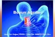 Boyun Ağrıları - anadoluissagligi.com · basısına bağlı myelopati ve vertebral arter etkilenmesine bağlı vertebrobaziler sendrom gelişir. Sinir kökü basısı- radikülopati