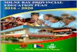 MILNE BAY PROVINCIAL - Educationmbp.education.gov.pg/Provincial plan/provinical_plan_2017_to_2020.pdf · NQSSF National Quality School Standards Framework SWOT Strength, Weakness,
