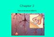 Chapter 2 - East Peoria Community High ??Serotonin â€“Inhibitory or excitatory neurotransmitter â€“Involved