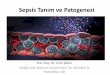 Sepsis Tanım ve Patogenezi - klimik.org.tr±m-ve... · Sunum Planı •Sepsis tanımlamaları –Tarihçe –1992/2001/2016 Uzlaşı Toplantılarının sonuçları •Sepsis Patogenezi