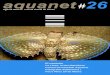 Agosto 2001 revista virtual de buceo - M@re Nostrummarenostrum.org/download/aquanet/2001/aquanet-26.pdf · El Palaemon elegans es un crustáceo que suele pasar desapercibido, ya que