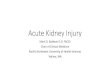 Acute Kidney Injury - acoi.org .KDIGO Clinical Guidelines for Acute Kidney Injury. Kidney Inter.,