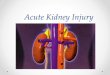 Acute Kidney Injury - med.uth.edu · Evaluation of AKI Prerenal volume depletion redistribution cardiogenic Renal ischemic/nephrotoxic glomerulonephritis tubulointerstitial nephritis