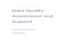 Data Quality Assessment and SupportFile/IAHP-Final-Report.docx  · Web viewIt is expected that reaching this level of maturity across all services will be a five year goal. Achieving
