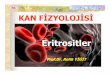 Prof Dr Refik YIGIT Kan Fizyolojisi 1.ppt - erbillab.comerbillab.com/kan.pdf · dd))Hücrelerle hızlı madde alışHücrelerle hızlı madde alış--verişi verişi KAN ilegerçekleşir