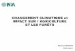 CHANGEMENT CLIMATIQUE et IMPACT SUR l AGRICULTURE ET …otmed.osupytheas.fr/sites/default/files/ancien_site/IMG/pdf/Bernard_Seguin_1.pdf · 1950 1955 1960 1965 1970 1975 1980 1985
