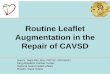 Routine Leaflet Augmentation in the Repair of CAVSD · Routine Leaflet Augmentation in the Repair of CAVSD Hani K. Najm MD, Msc, FRCSC, FRCS(UK) King Abdulaziz Cardiac Center National