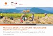 MOIT/GIZ ENERGY SUPPORT PROGRAMME - …ccap.org/assets/Mitigating-Financial-Risks-for-Biomass...Mitigating Financial Risks for Biomass Energy projects in Viet Nam MOIT/GIZ ENERGY SUPPORT