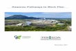 Kawerau Pathways to Work Plan - embracechange.co.nzembracechange.co.nz/images/uploads/content-images/... · 1 –Industrial Symbiosis Kawerau & Toi EDA Kawerau Pathways to Work Plan