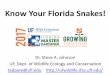Know Your Florida Snakes! - conference.ifas.ufl.edu JOHNSON... · pets; usually do not bite if held gently; a very common snake in suburban ... Invasion pathway: Cargo stowaway FL