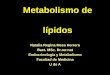 Metabolismo de lípidosmedicina.udea.edu.co/emd/metabolismo/lipidos/LIP-3-2010-2.pdf · biosintesis de los acidos grasos apartir de colesterol. biosintesis de los acidos grasos apartir