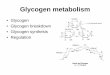 Glycogen • Glycogen breakdown • Glycogen synthesis ...guralnl/450Glycogen metabolism.pdf · • Glycogen • Glycogen breakdown • Glycogen synthesis • Regulation. Glycogen