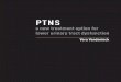 PTNS - dominiotemporario.comassoalhopel.dominiotemporario.com/doc/ptns_vera_vandonick_tese.pdf · in the PTNS protocol to investigate the effect of PTNS on their symptoms. The aim