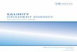 Salinity Gradient Energy Technology Brief - Salinity... · to salinity gradient deployment, so the actual potential might be less. There are very few detailed studies that consider