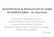 BIOSYNTHESIS & REGULATION OF HEME IN HEMOGLOBIN An …victorjtemple.com/PBL Biosynthesis Regulation of Heme.pdf · BIOSYNTHESIS & REGULATION OF HEME IN HEMOGLOBIN –An Overview University