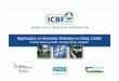 Application of Genomic Selection in Dairy Cattle - icbf.com · Application of Genomic Selection in Dairy Cattle Francis Kearney ICBF, Donagh Berry Teagasc. Background • ~1.2 million