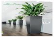 Self-Watering Planters - Office Plants, Interior ... Catalog 2013 BUDS OFFICE PLANTS.pdf · Self-Watering Planters Simplicity and quality is our philosophy when it comes to materials