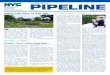 WEEKLY PIPELINE - nyc.gov · PIPELINE Did you know in the United States alone, approximately four million people suffer a workplace injury annually, resulting in more than 80,000,000