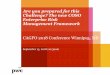 Are you prepared for this Challenge? The new COSO ... · What is COSO ERM 2017? •Leadership is expecting more from their organisation’s ERM practices and capabilities •Stakeholders