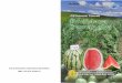 BALAI PENELITIAN TANAMAN BUAH TROPIKA ISBN : 978 … · B. Morfologi Tanaman 1. Akar Perakaran tanaman semangka merupakan akar tunggang yang terdiri atas akar utama (primer) dan akar