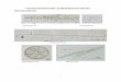 Port of Tanjung Pelepas 2015 - LPJ Port Policy add on/BW2015 Phase 2 PTP... · 1 TANJUNG PELEPAS PORT : MARINE BIOLOGY SPECIES. PHYTOPLANKTON. Achnanthes sp. Asterionella sp. Amphisolenia