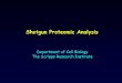 Shotgun Proteomic Analysis - National Institutes of Health · Protein ID’s 157 304 (1.9x) (*2 peptides confirmed w/ RelEx) Protein ID’s 559 891 (1.6x) (*1 peptide confirmed w