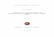 Analysis and approximation of Hamilton-Jacobi equations ... · Analysis and approximation of Hamilton-Jacobi equations with ... and a comparison of the results on some test ... short