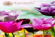 Samarinda Aged Care Service - Spring Newsletter 1 Executive Officer’s Message Samarinda Aged Care Service - Spring Newsletter3 As we are near-ing towards the end of another busy